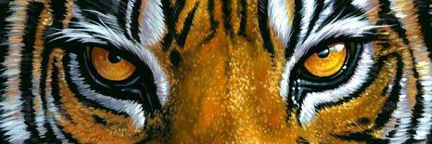 tigertank2000's profile banner image