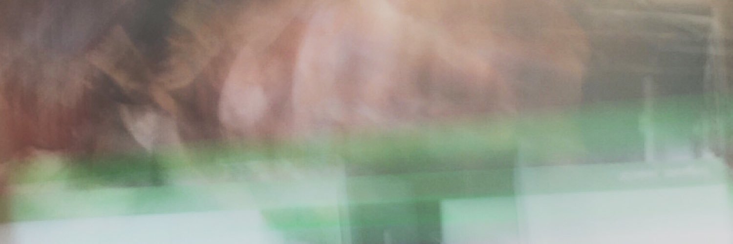 rbaschak's profile banner image
