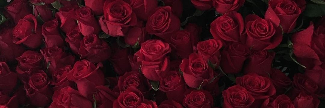 tashvvvv's profile banner image