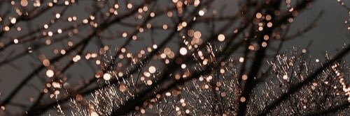 Miss_AshBee's profile banner image