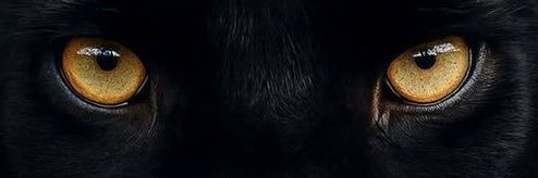 im here🥱🤫🥴☠️😂 banner