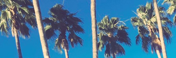CadeLofgreen's profile banner image