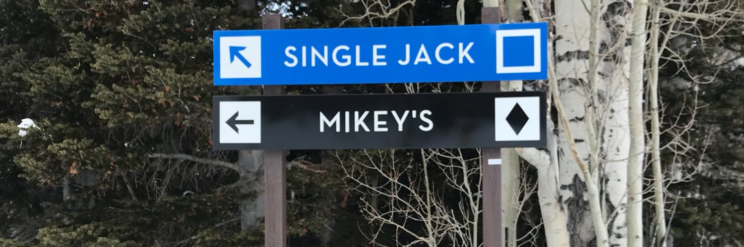 Michael Sours banner