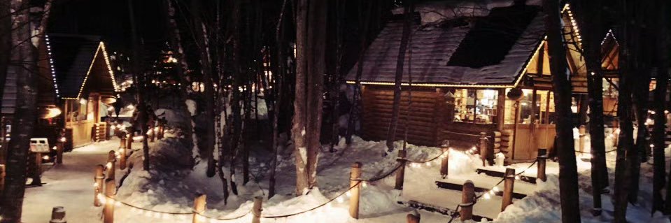 CoCo .Z 🦋🌙 banner