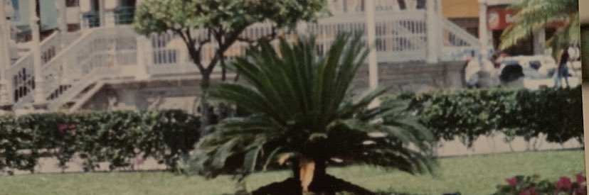 tripl3ap's profile banner image