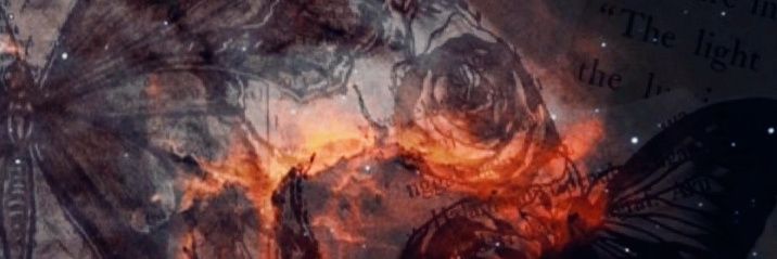 debbtigertiger's profile banner image
