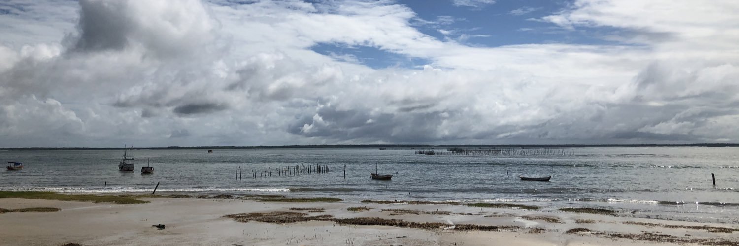 Castanho do Pará  🇧🇷 banner