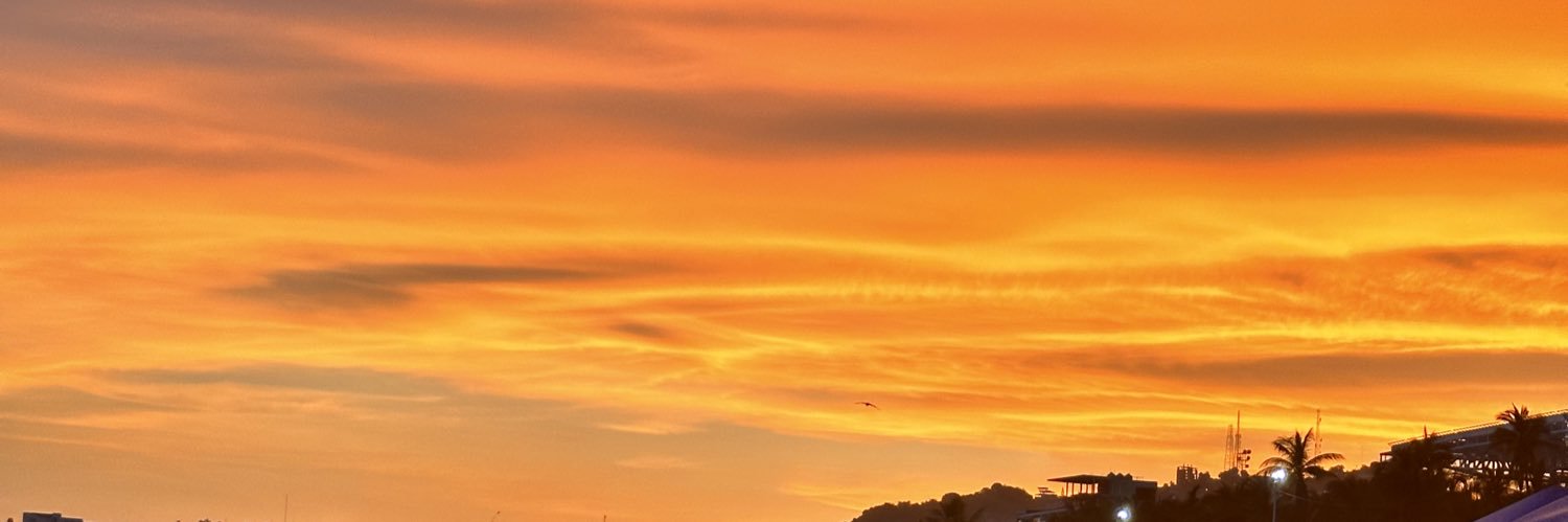 MirlenyG's profile banner image