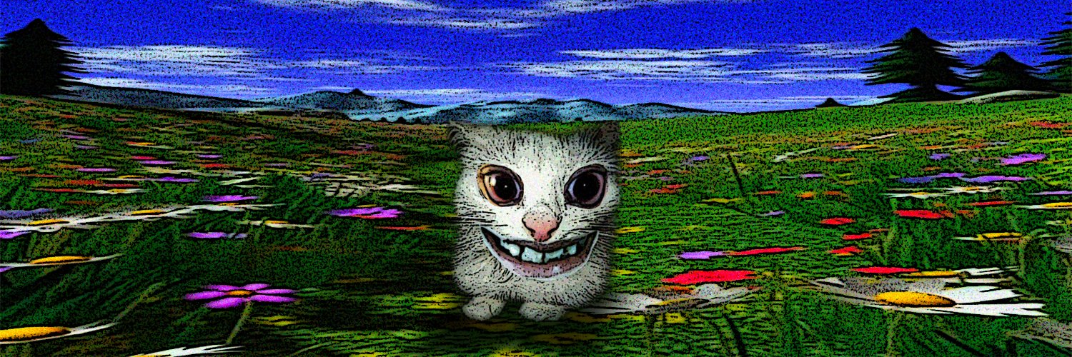 Noided Semaj banner