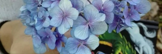 i'm especial, ok banner