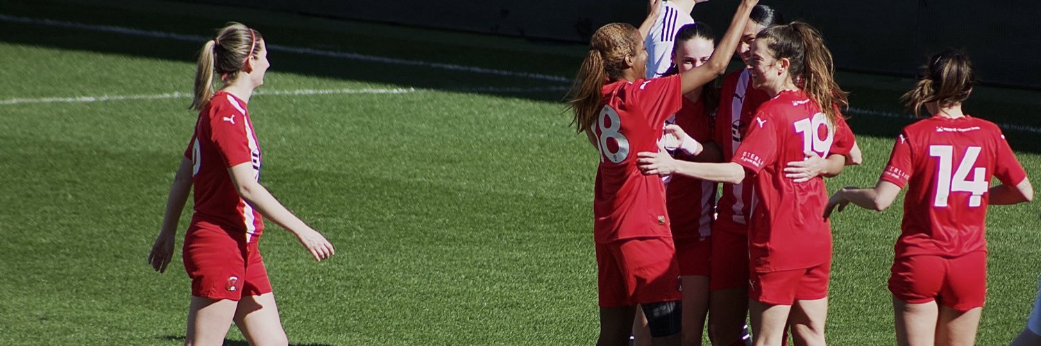 Orient From The Sidelines banner