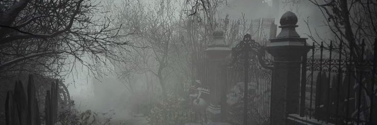 leezokkas's profile banner image