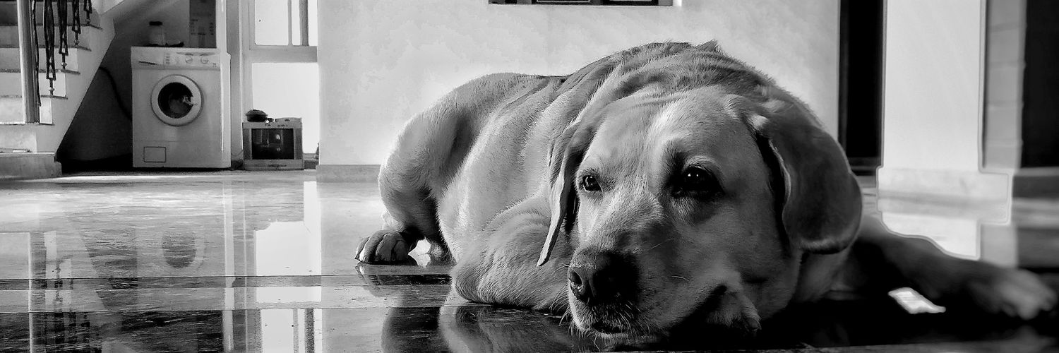 Sharan Srivatsa banner