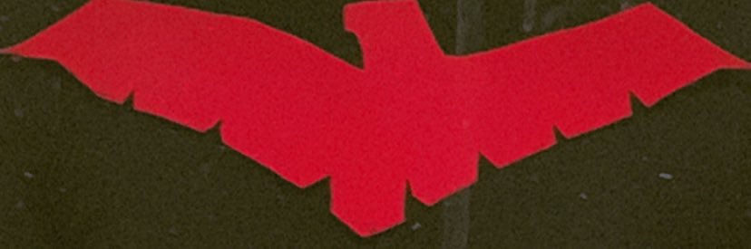 Marcelo Rosa banner