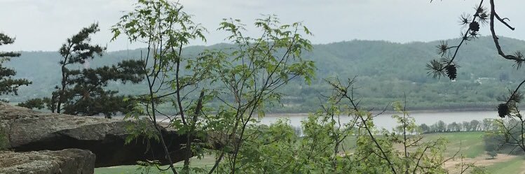 TrumanHash7's profile banner image