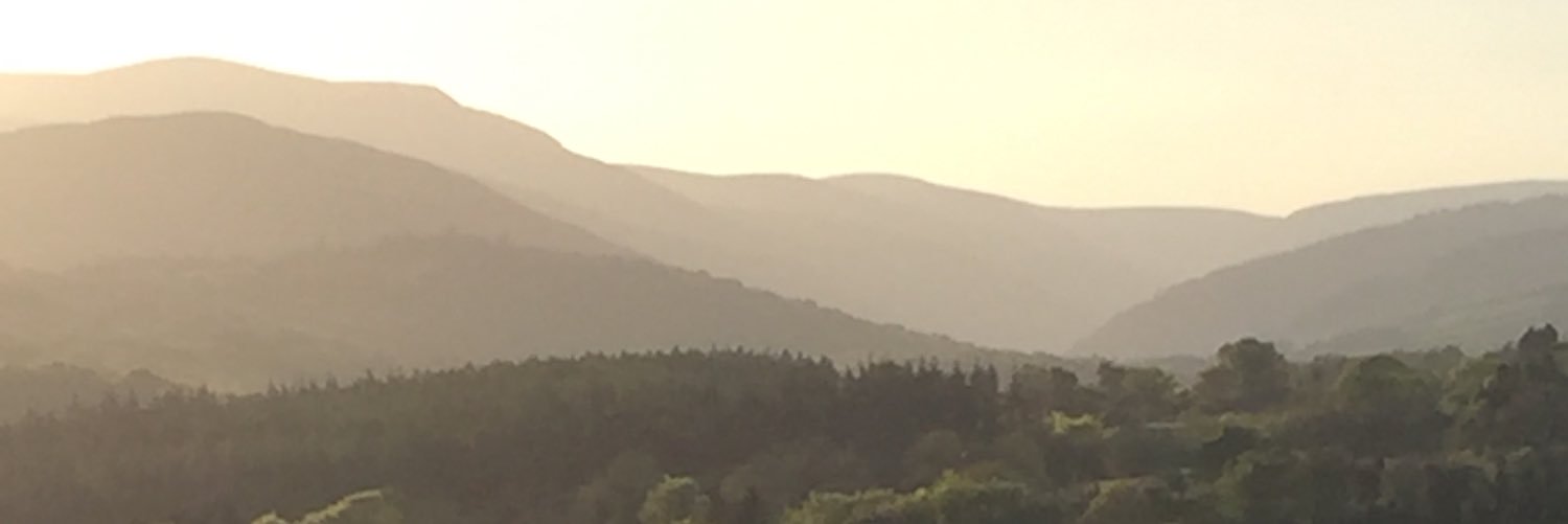 John Reynolds banner