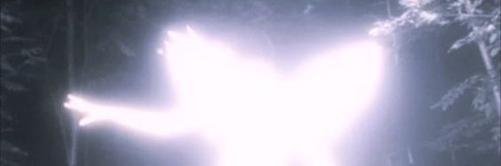 mia 🏳️‍⚧️🪽's banner