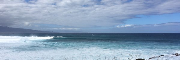 HermTuesday Profile Banner