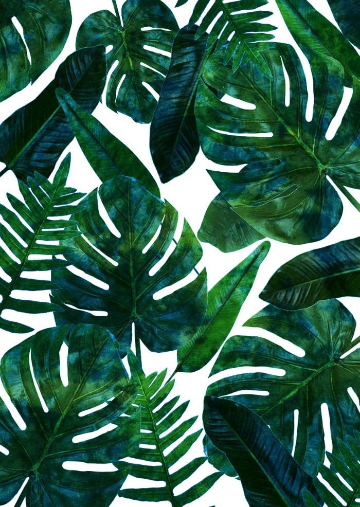 NickDeShane's profile banner image