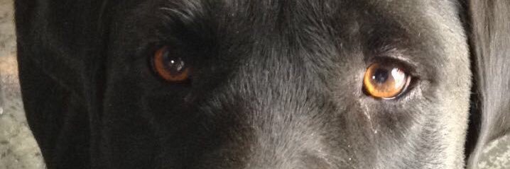 Augusgn's profile banner image