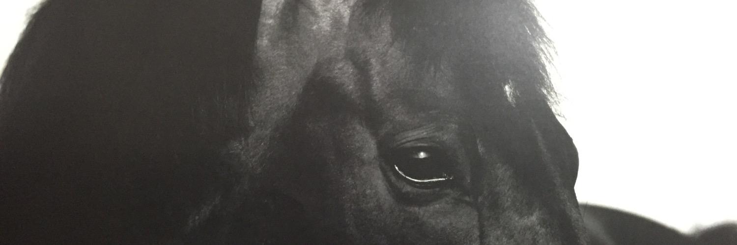 Amiing678's profile banner image