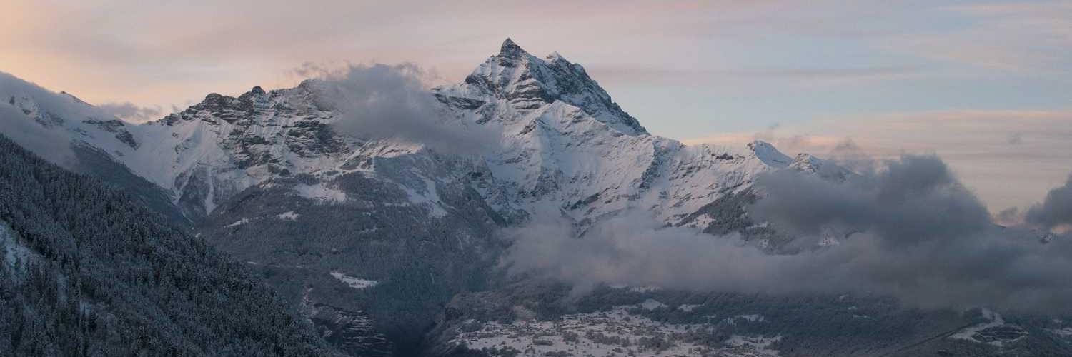 NewDanceOfDancer banner