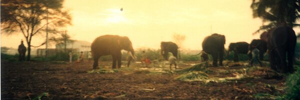 amargov Profile Banner