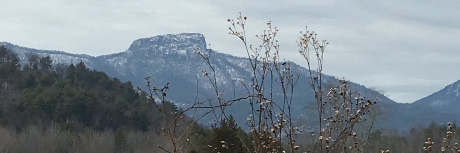 Billie Eilish, the cat banner