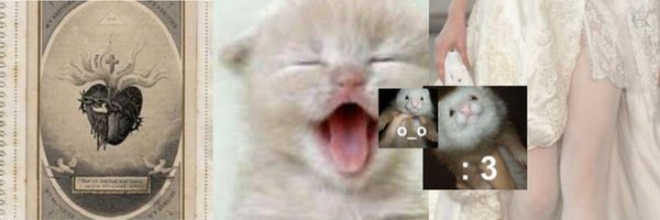 shanepilld Profile Banner