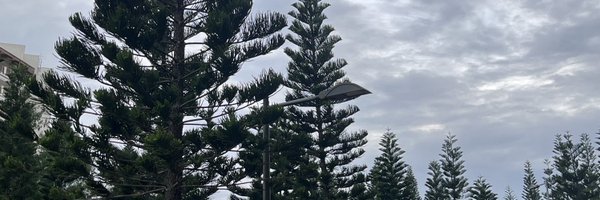 juleeeyah Profile Banner