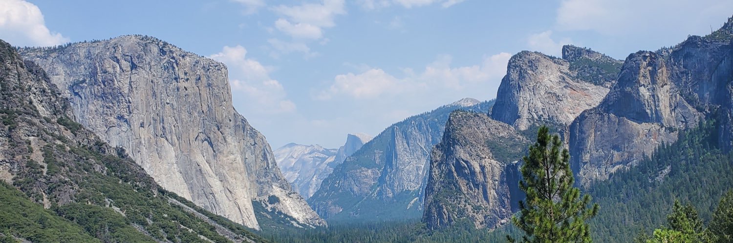 Ian Curnutt banner