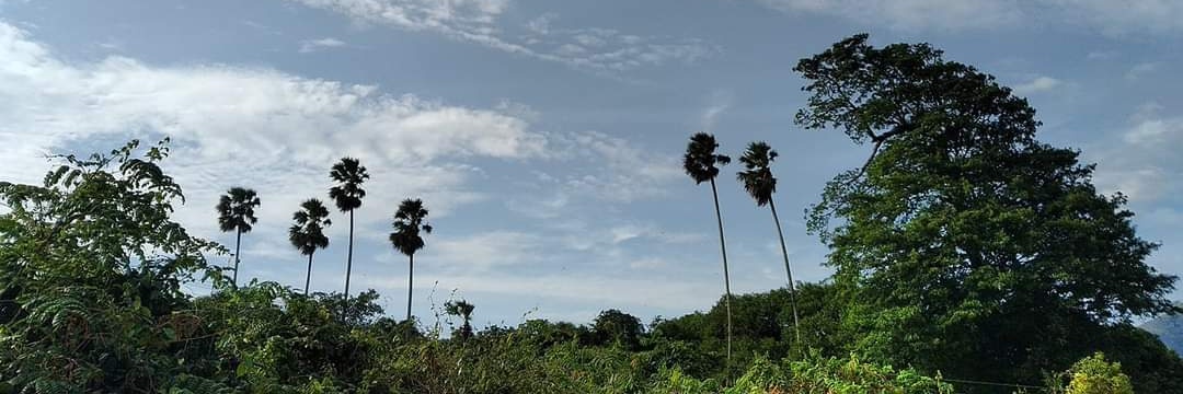 namchellappa's profile banner image