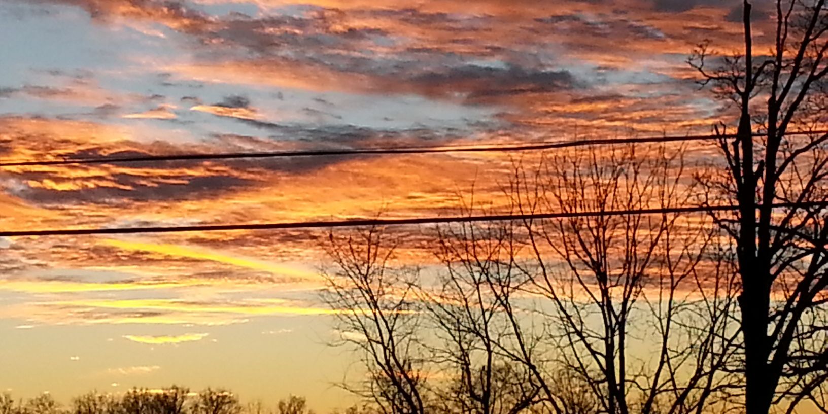 timothy randall banner