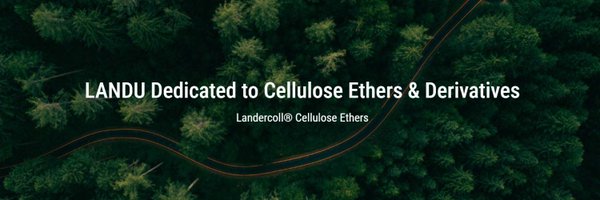 LandercollCE1 Profile Banner