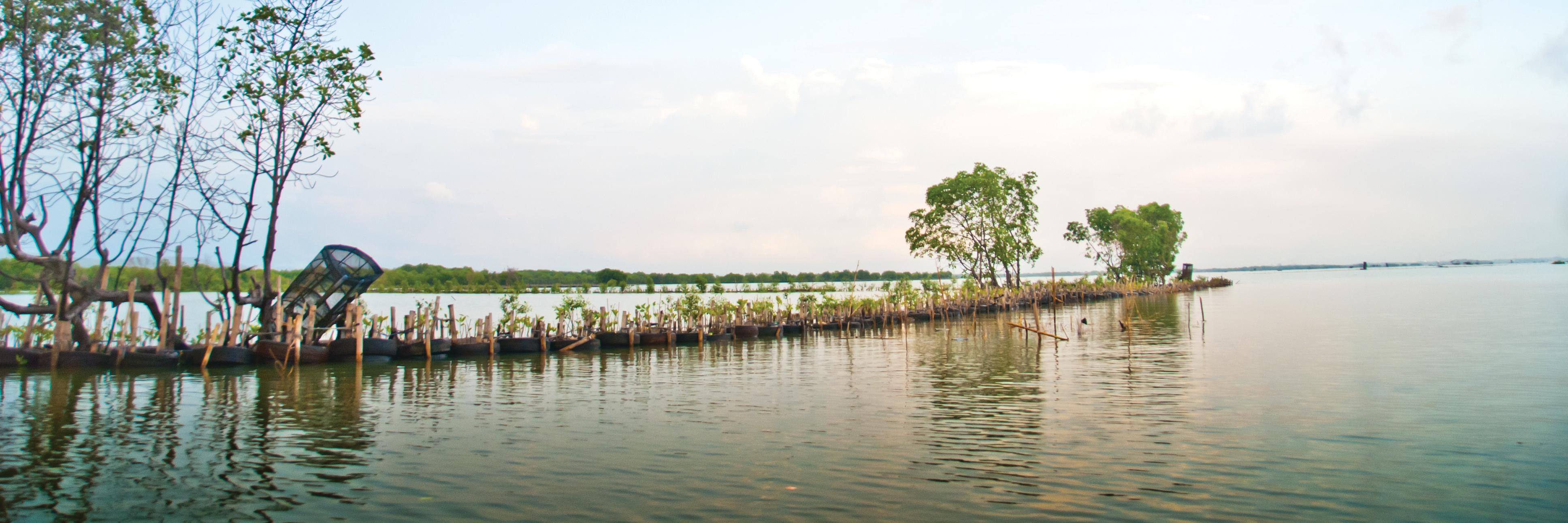 ACCCRNINDONESIA's profile banner image