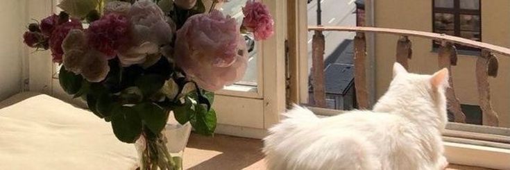 ReemAlanaz8y's profile banner image