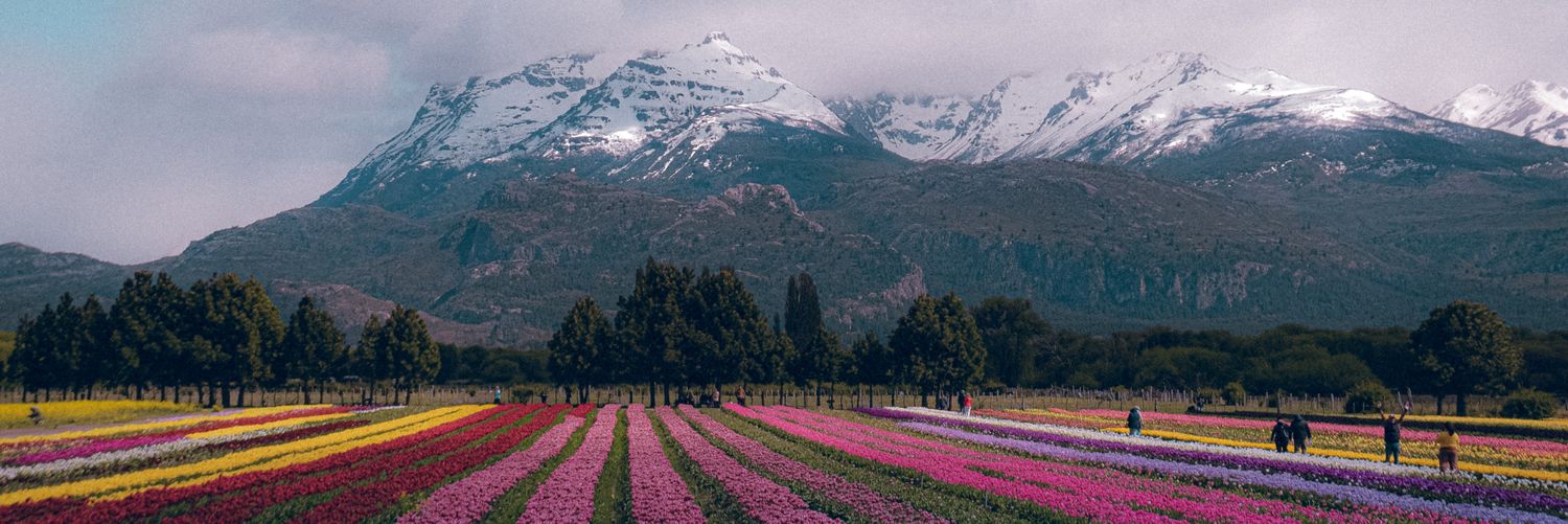 MichuAnahi's profile banner image