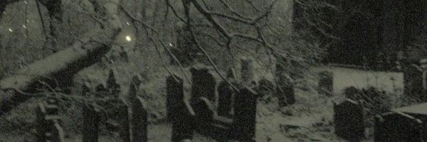 empyreansweet Profile Banner