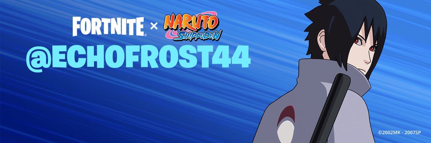 EchoFrost44's profile banner image