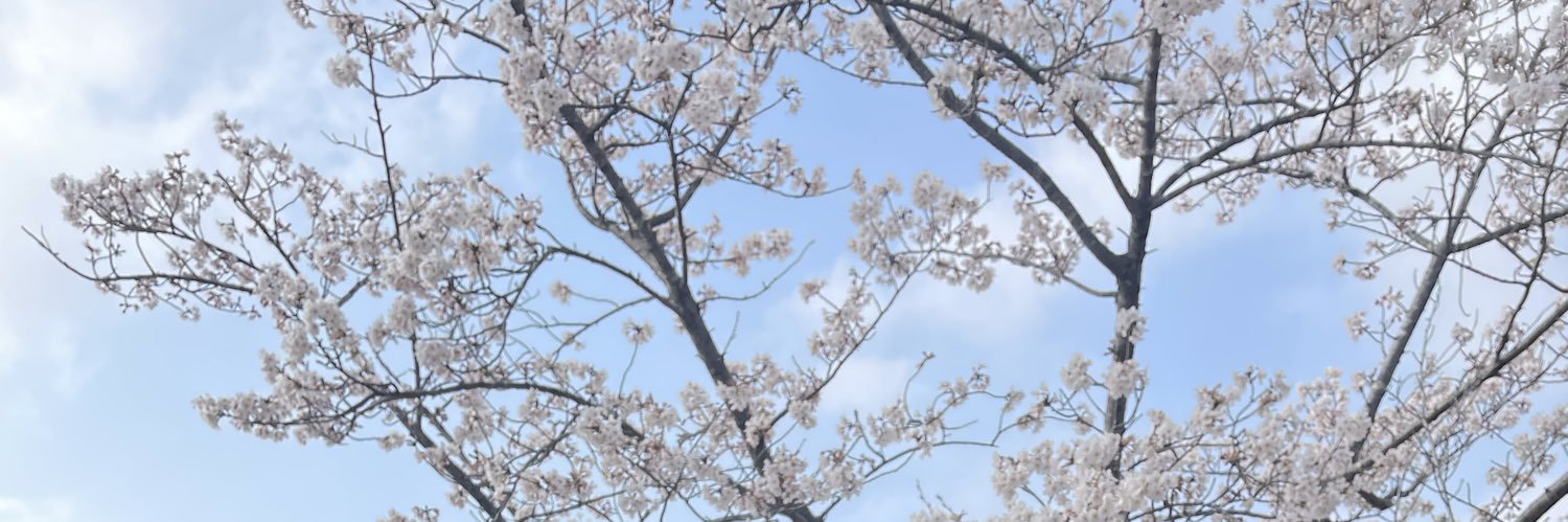 _maaai25's profile banner image