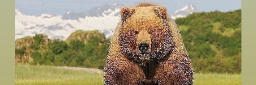 bowenator3's profile banner image