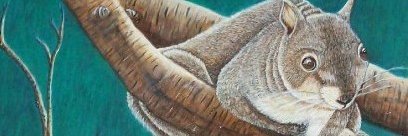 debwillis's profile banner image