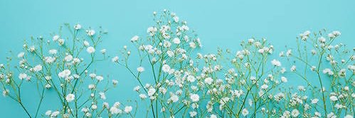 あまね~取引垢~ banner