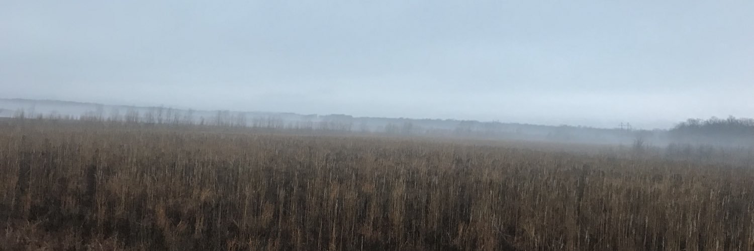 Patrick Chillis banner