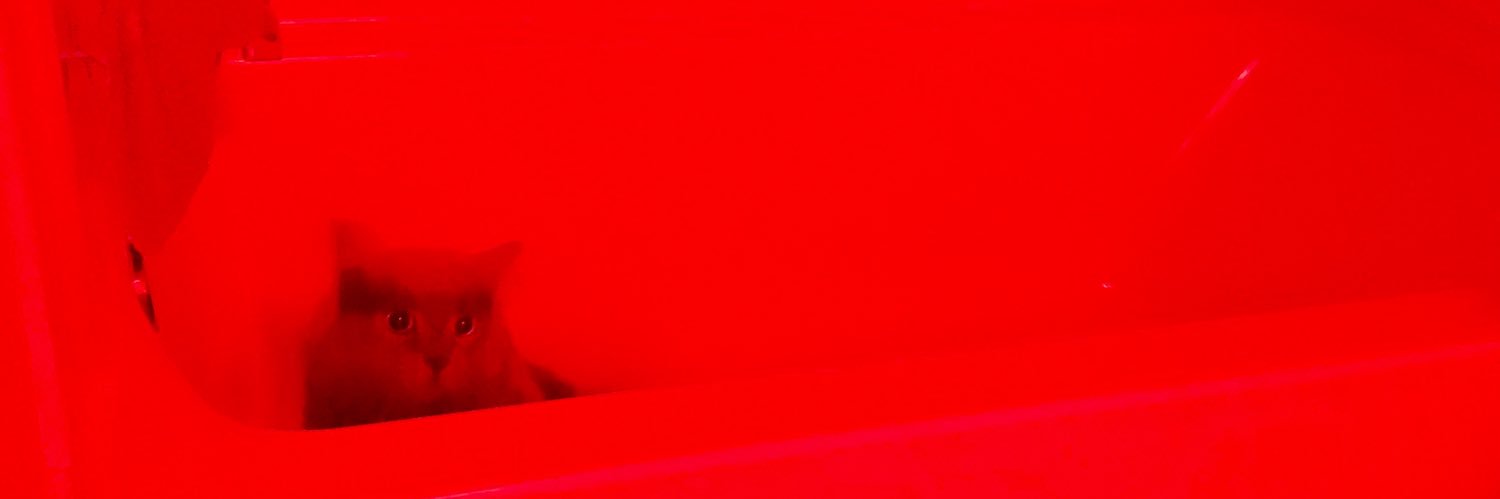 _foxybroccoli's profile banner image