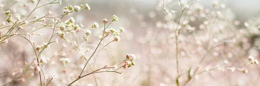 WonderfulRPEnt's profile banner image