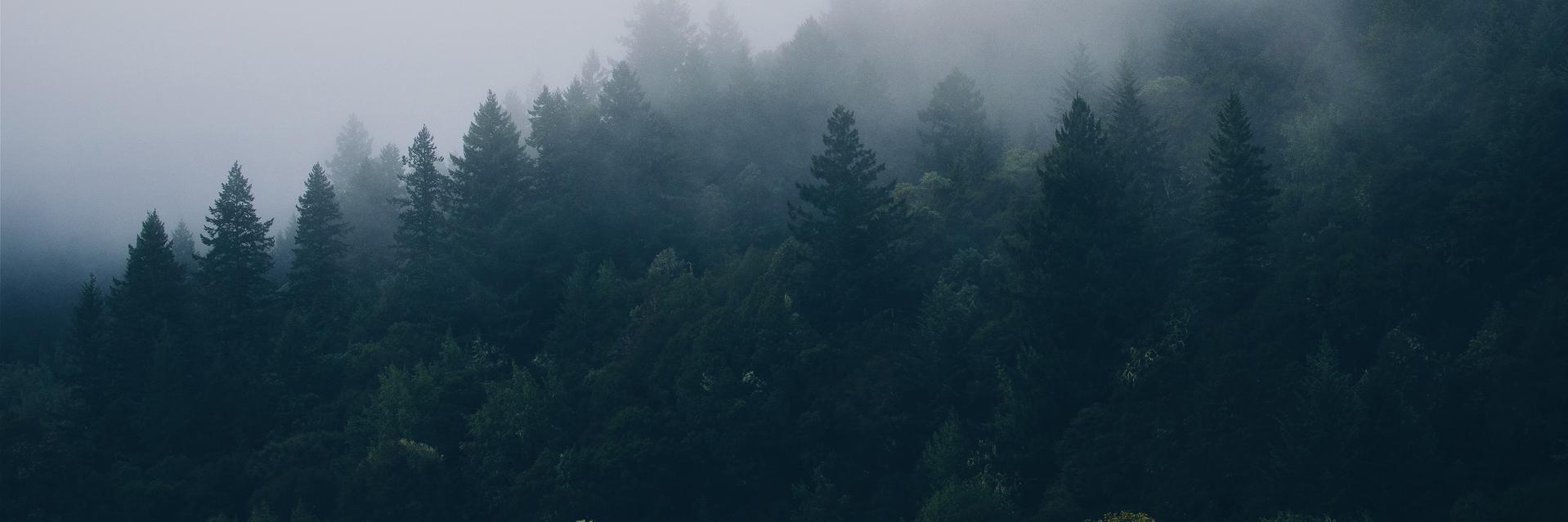 randyjervis's profile banner image