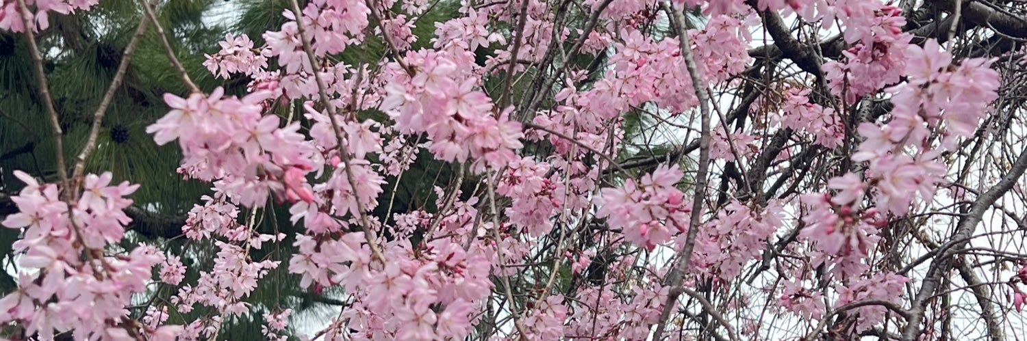 安藤貴世/産業ケアマネ banner