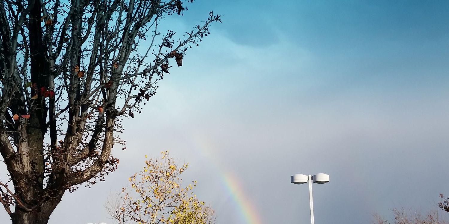 teeheeheemcfee's profile banner image