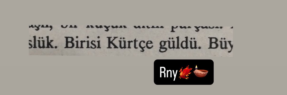 Rojda N Yet banner
